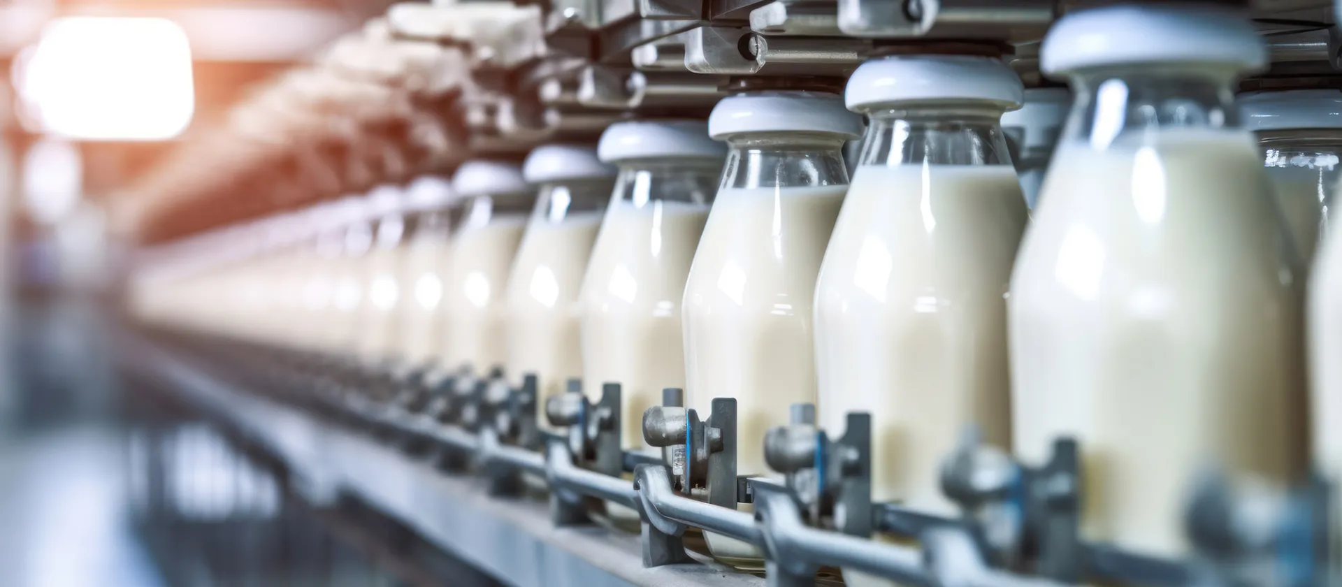 Row of glass milk bottles moving along an automated production line in a modern dairy processing facility with SAP Dairy Management