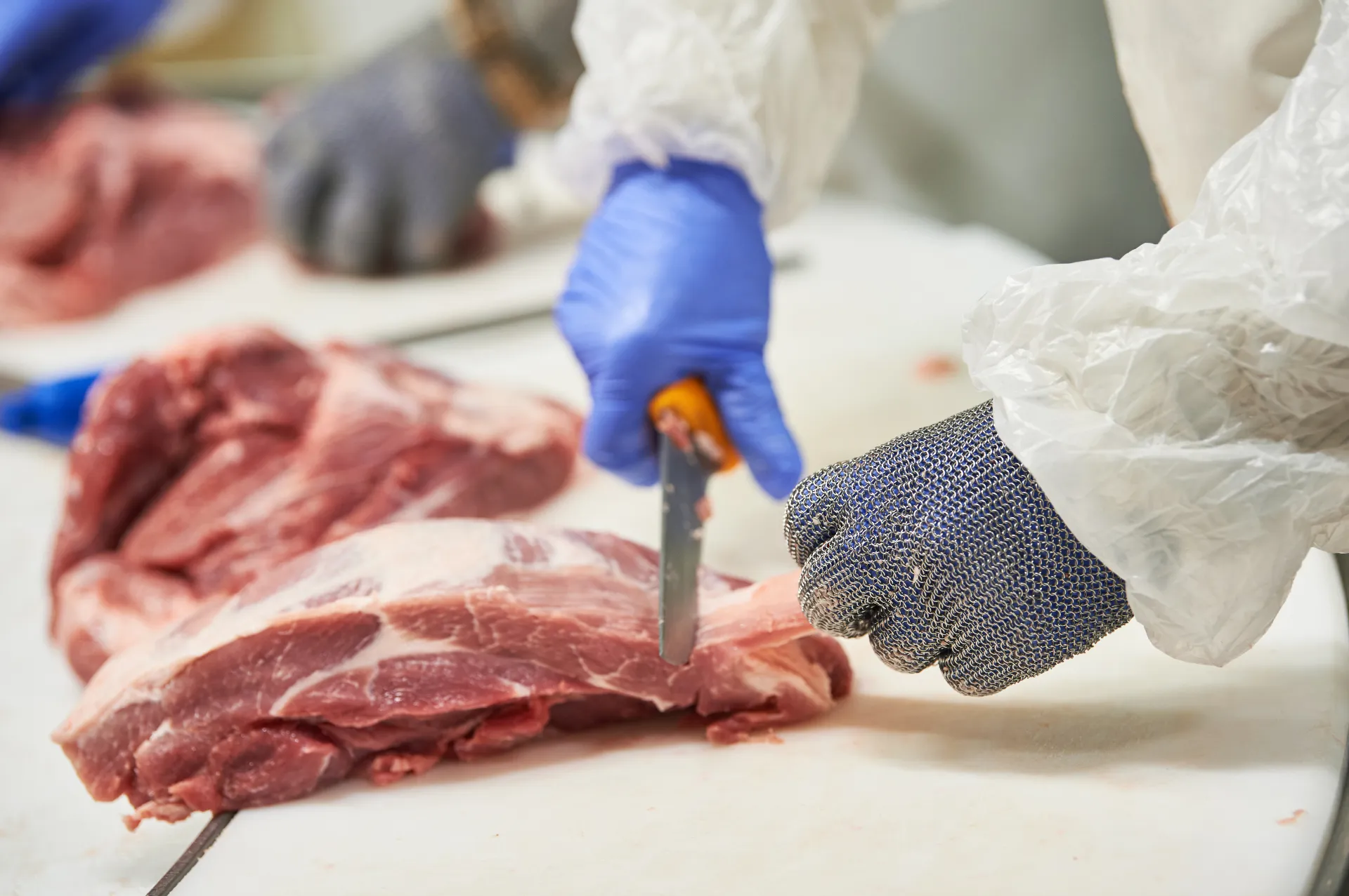 Meat Disassembly