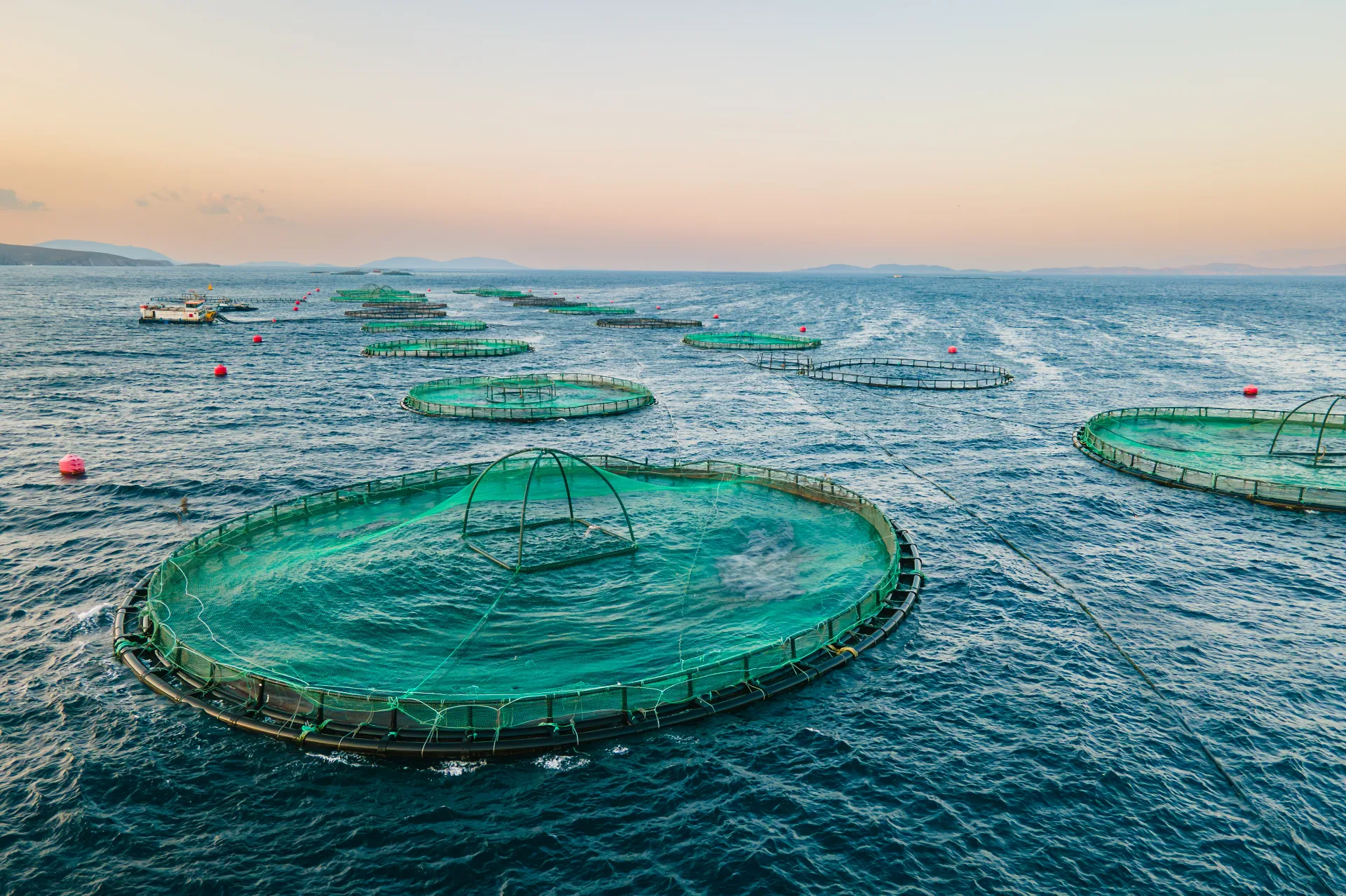Cages for sea bass, sea bream on aquaculture fish farming seafood the Mediterranean sea, aerial view